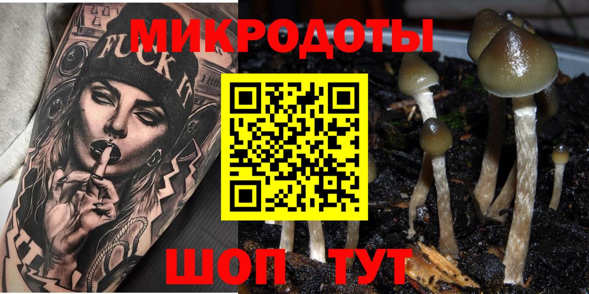 Псилоцибиновые грибы ЛСД Большой Камень